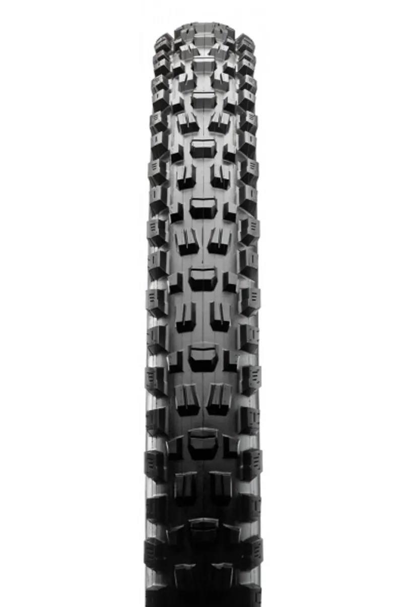 Maxxis Assegai Folding EXO TR Tyre Black -1